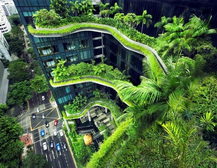 Singapura Jadi Kota Paling Teduh di Dunia, Bisakah Model Ini Ditiru Kota Lain?
